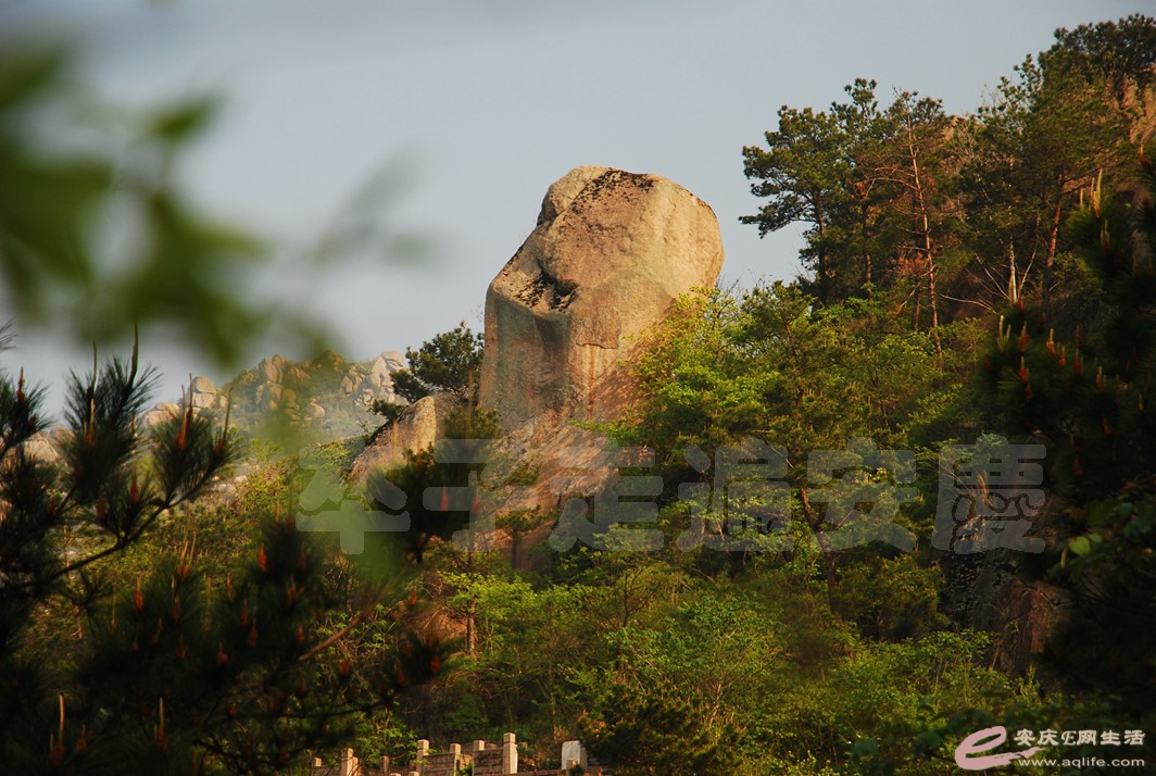 DSC_3311.jpg