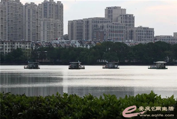 微信图片_20221013162903.jpg 微信图片_20221013162903.jpg