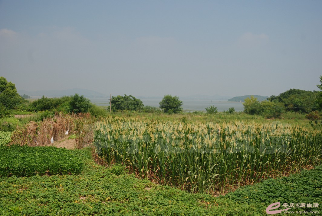 DSC_4838.jpg