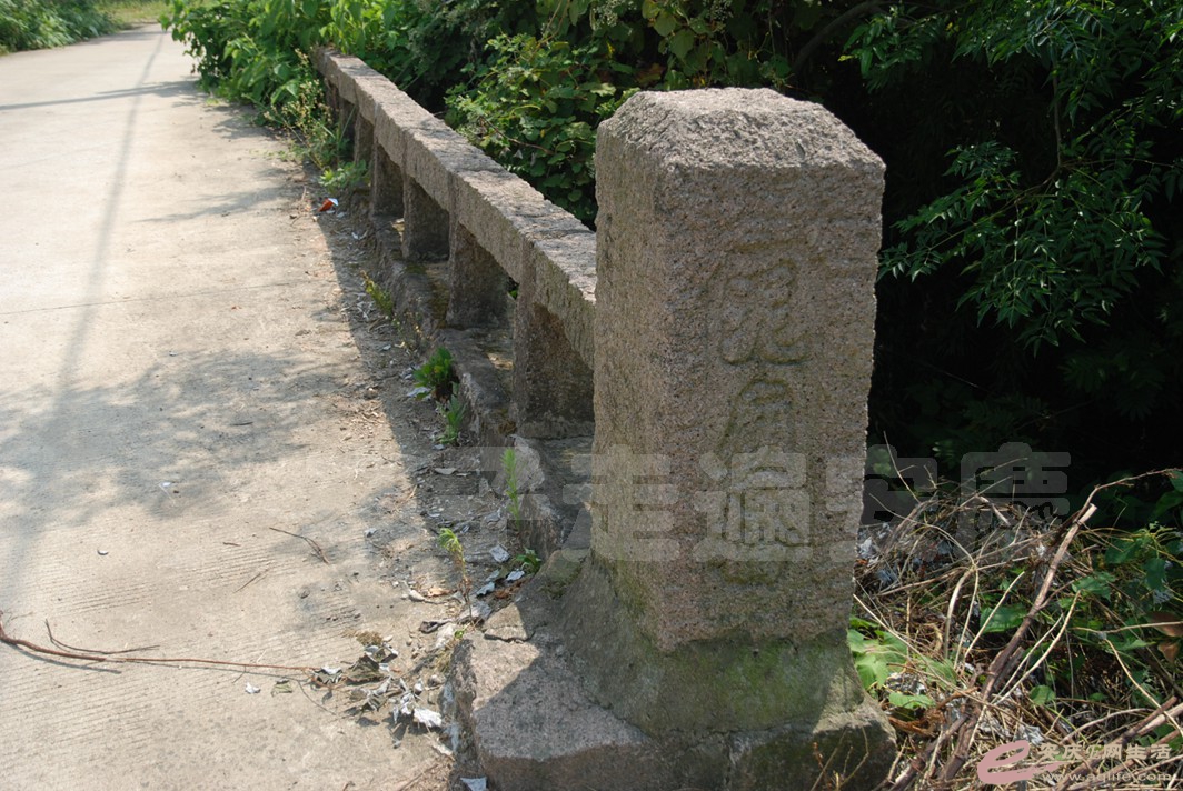 DSC_4843.jpg