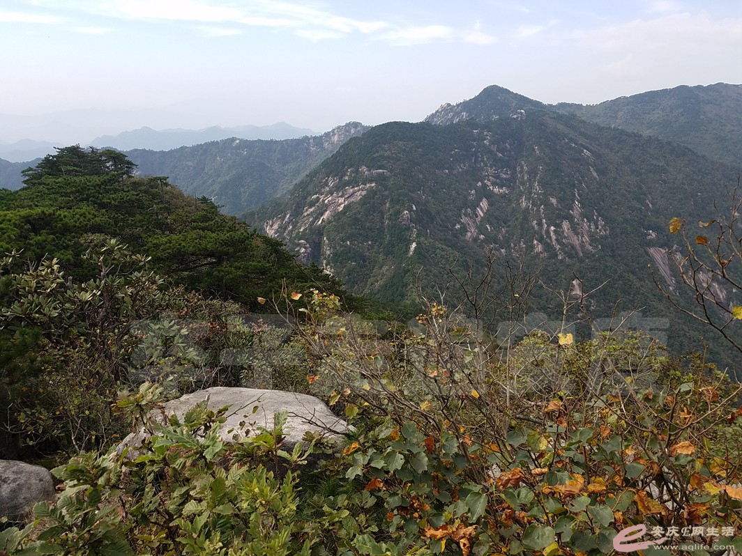 20180923_150030.jpg