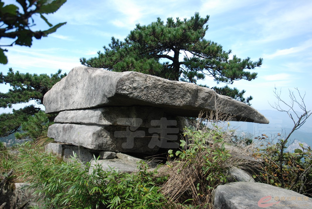 DSC_7662.jpg