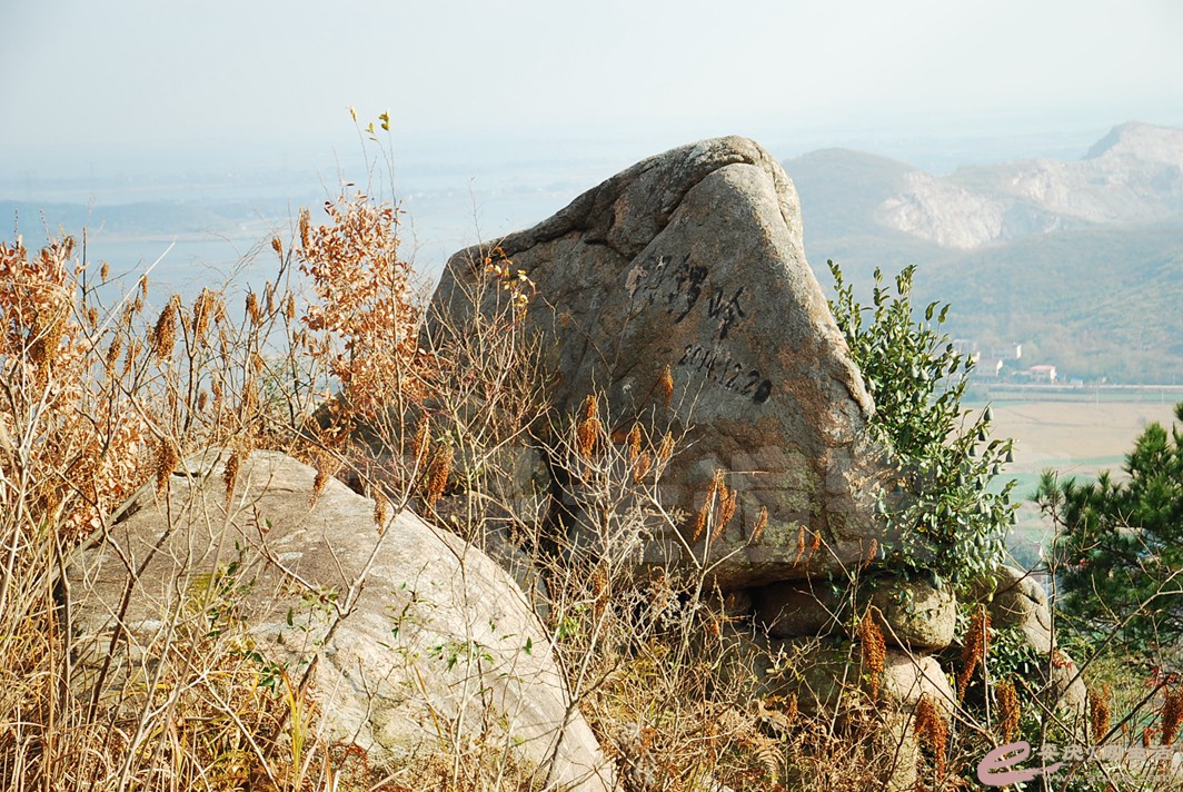 DSC_9668.jpg
