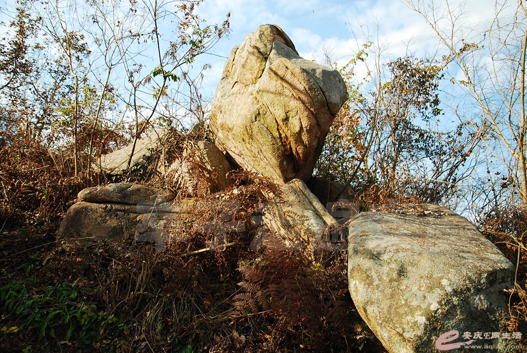 DSC_9739.jpg