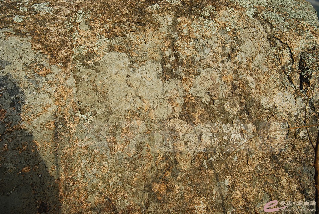 DSC_9693.jpg