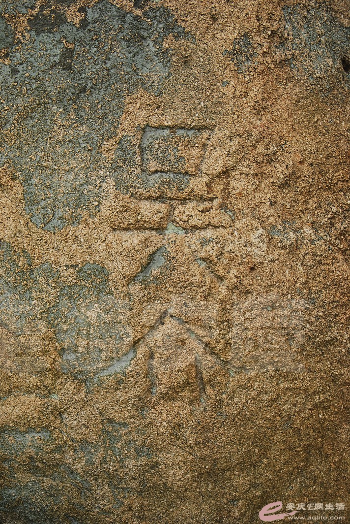DSC_9725.jpg