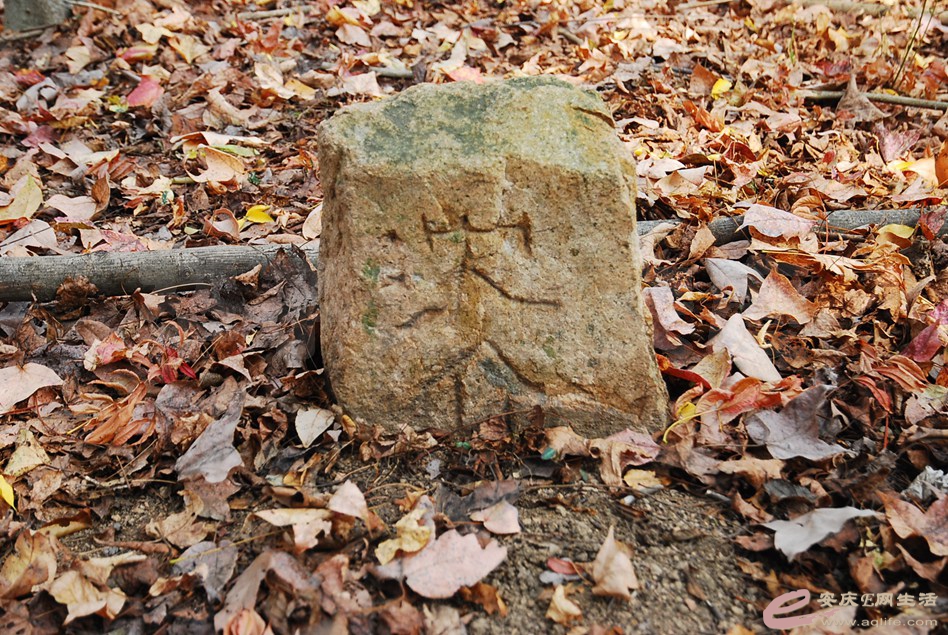 DSC_2912.jpg