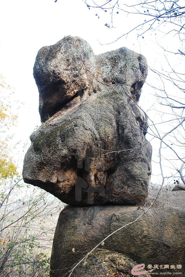 DSC_2935.jpg