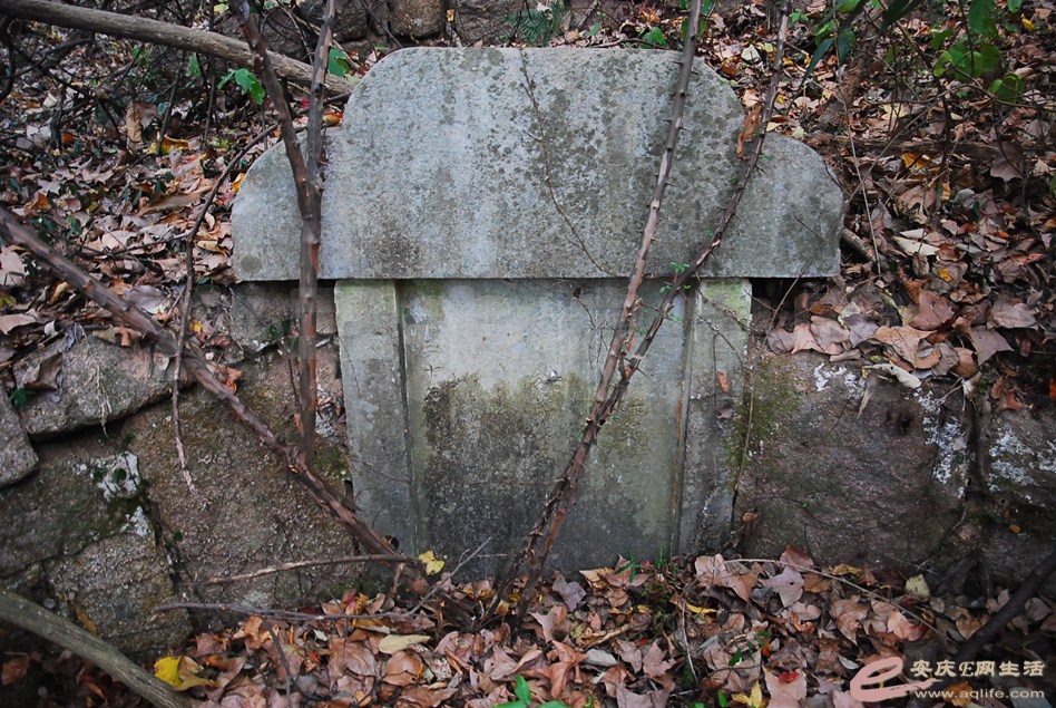 DSC_2745.jpg