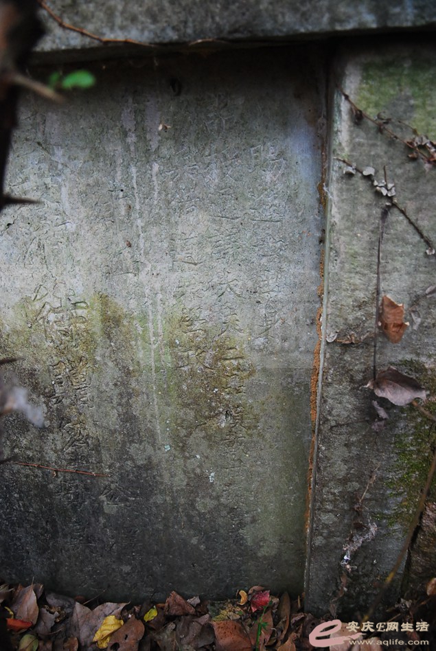 DSC_2756.jpg