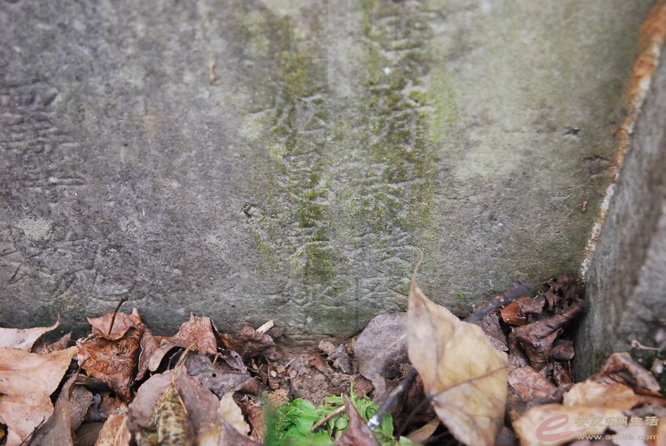 DSC_2762.jpg