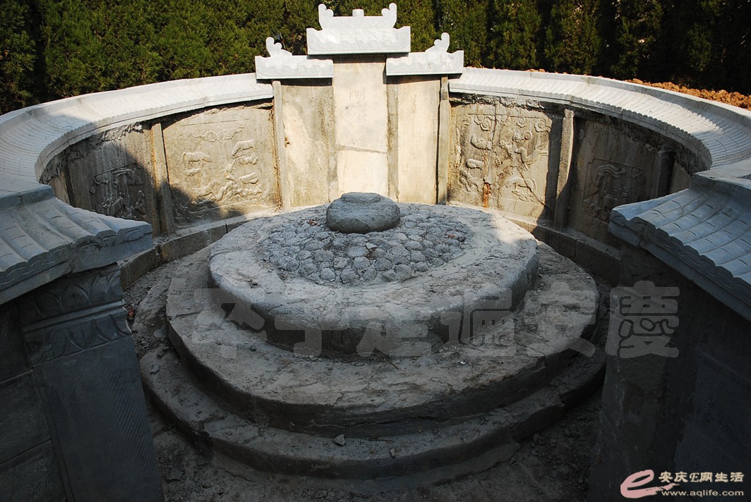 DSC_1193.jpg