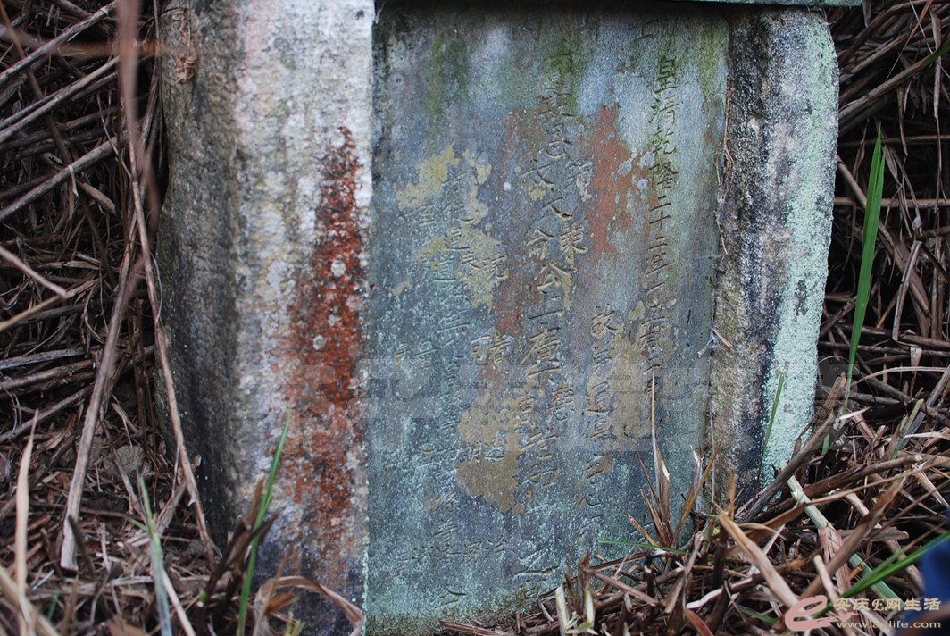 DSC_0672.jpg