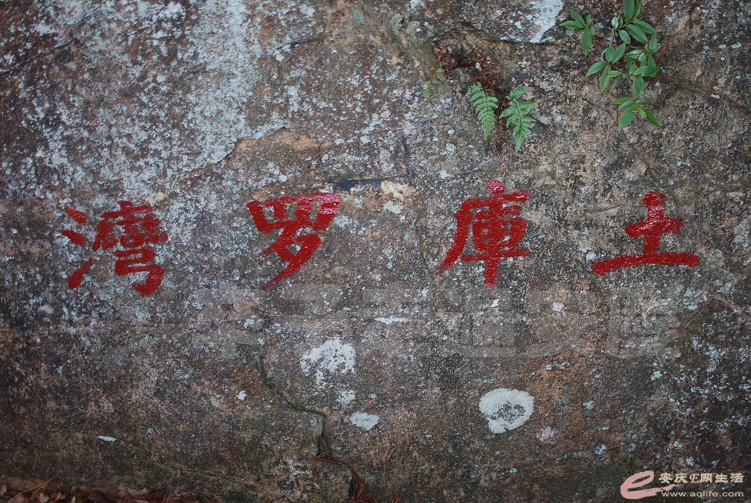 DSC_0910.jpg