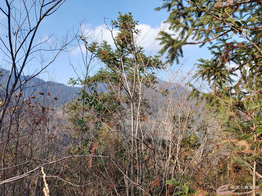 IMG_20221126_141604.jpg