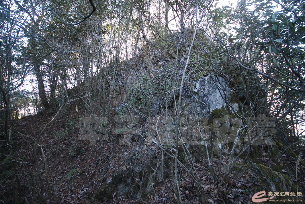 DSC_0974.jpg