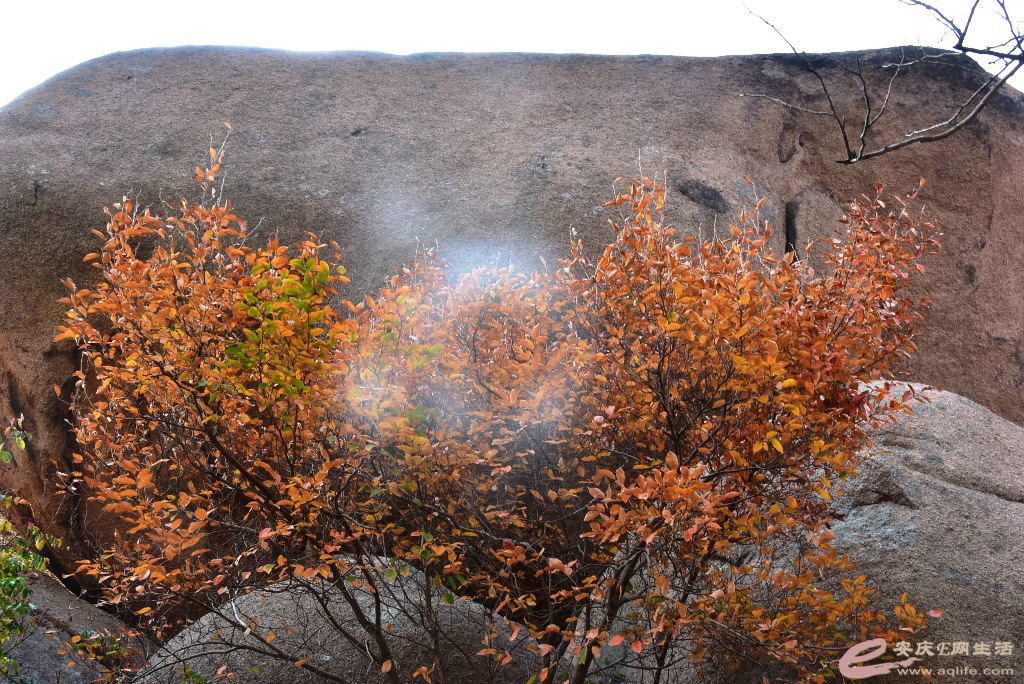 DSC_0039.JPG
