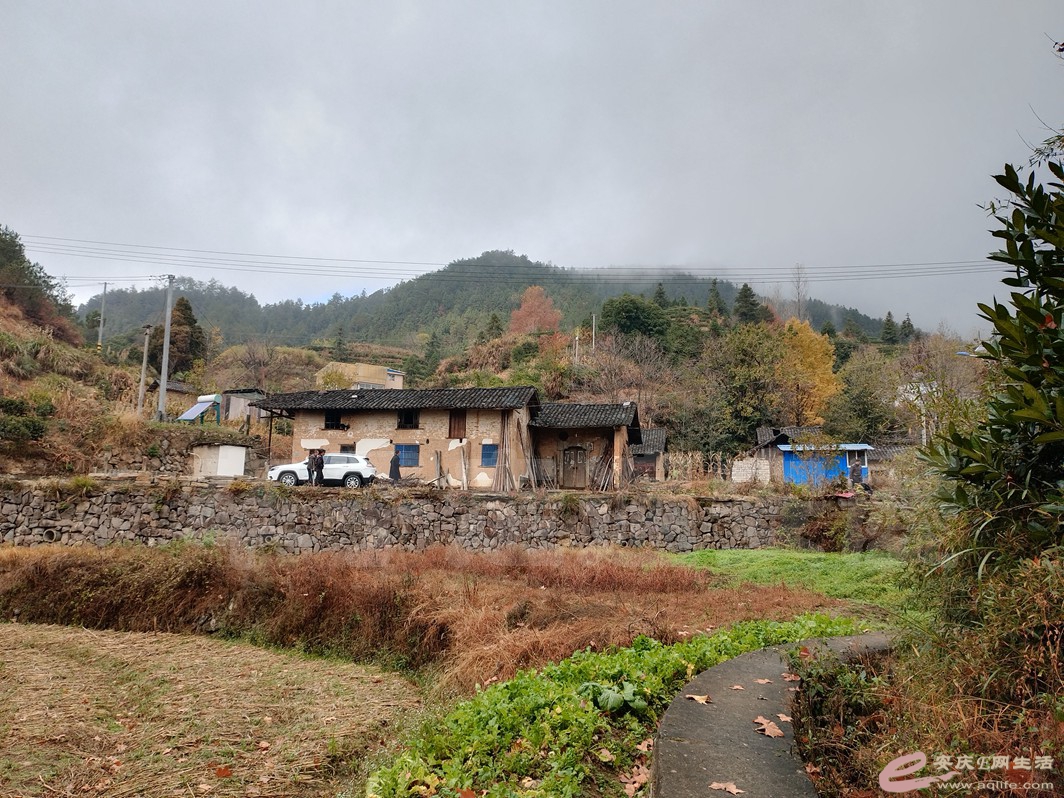 DSC_0322.jpg