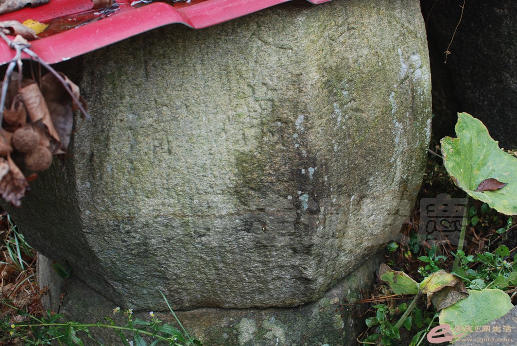 DSC_0326.jpg