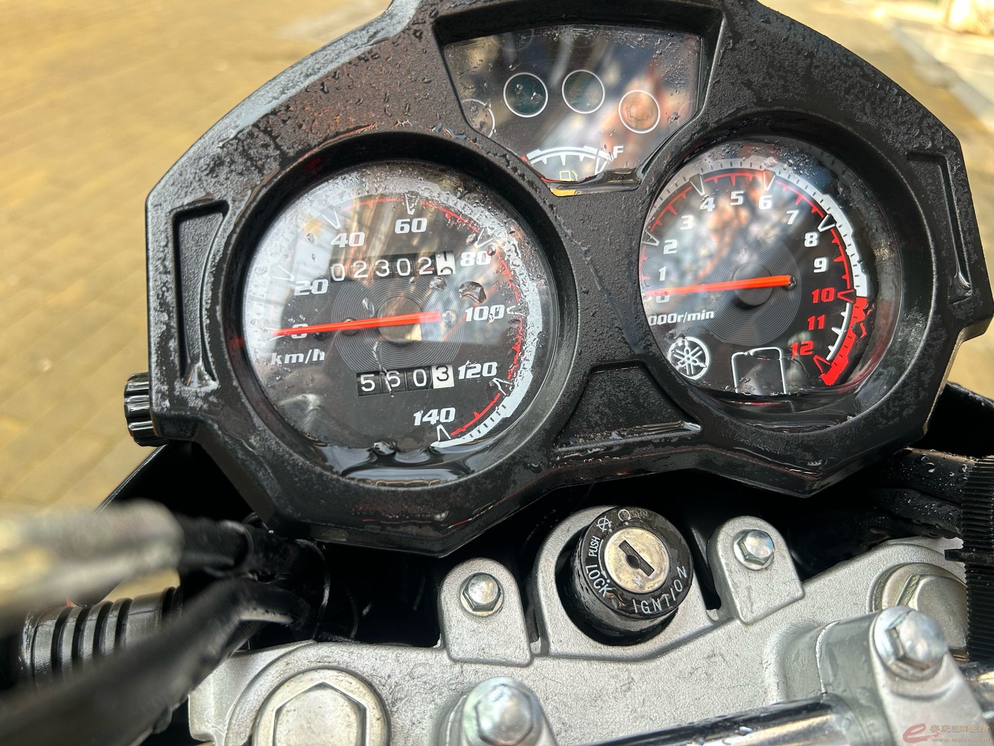 1674917387390446732.jpg