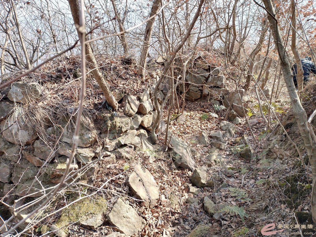 IMG_20230120_110608.jpg