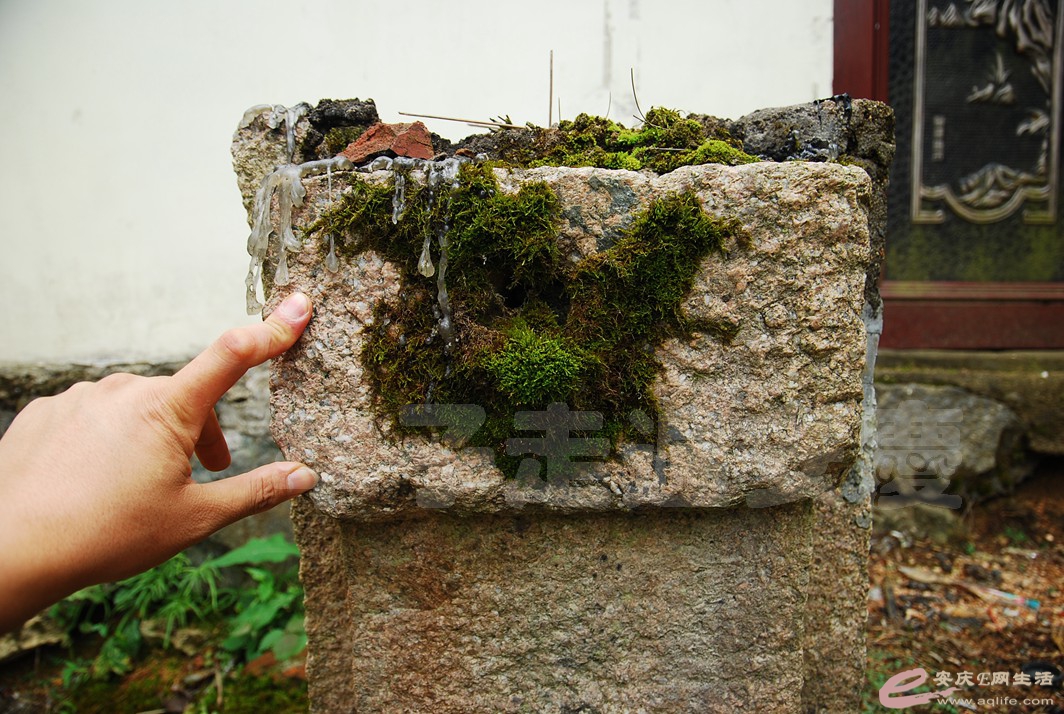 DSC_9908.jpg