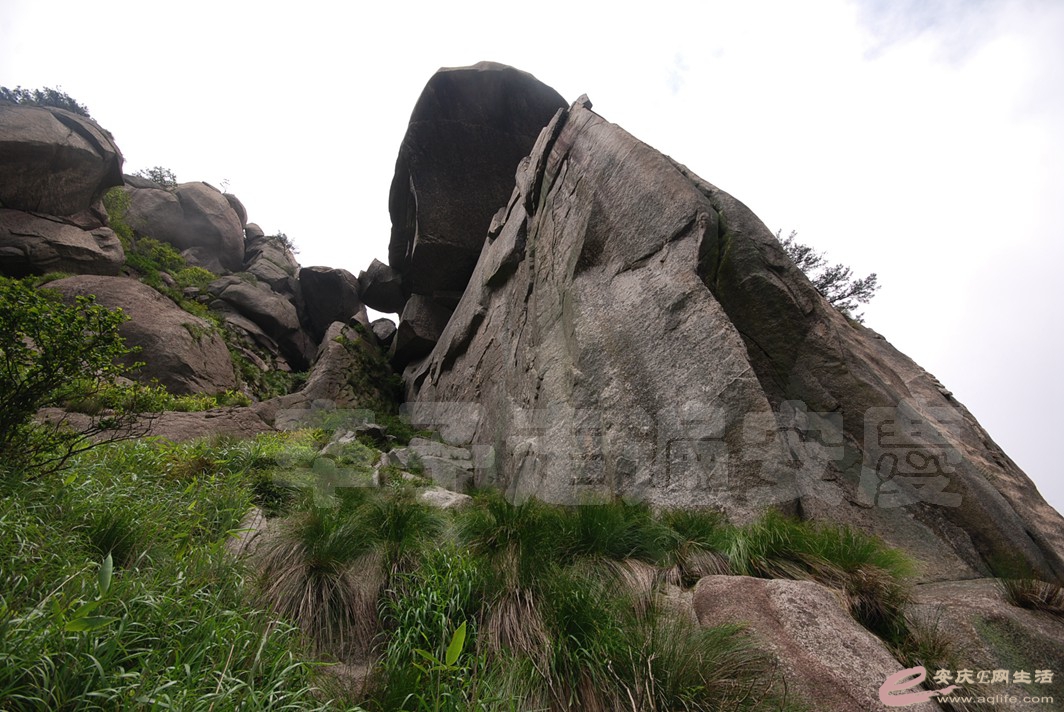 DSC_1153.jpg