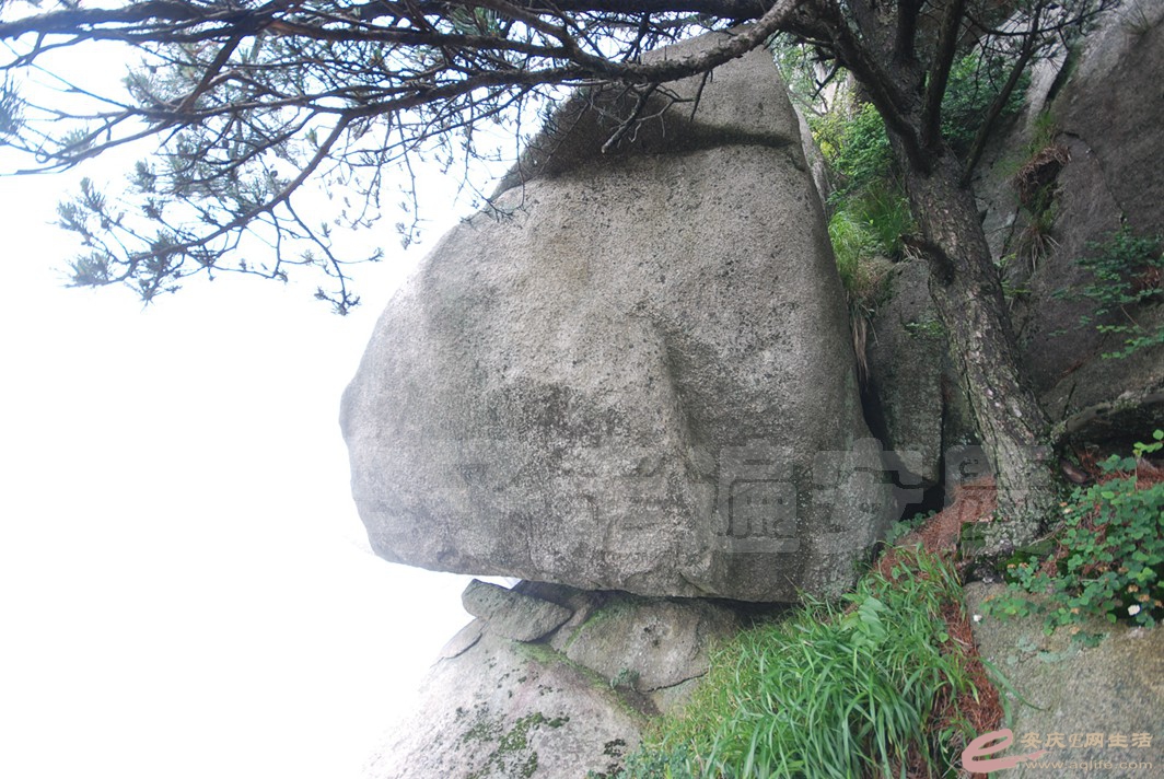 DSC_1172.jpg