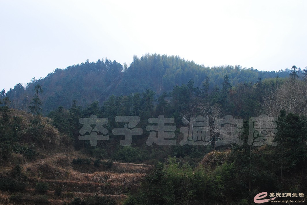 DSC_1636.jpg
