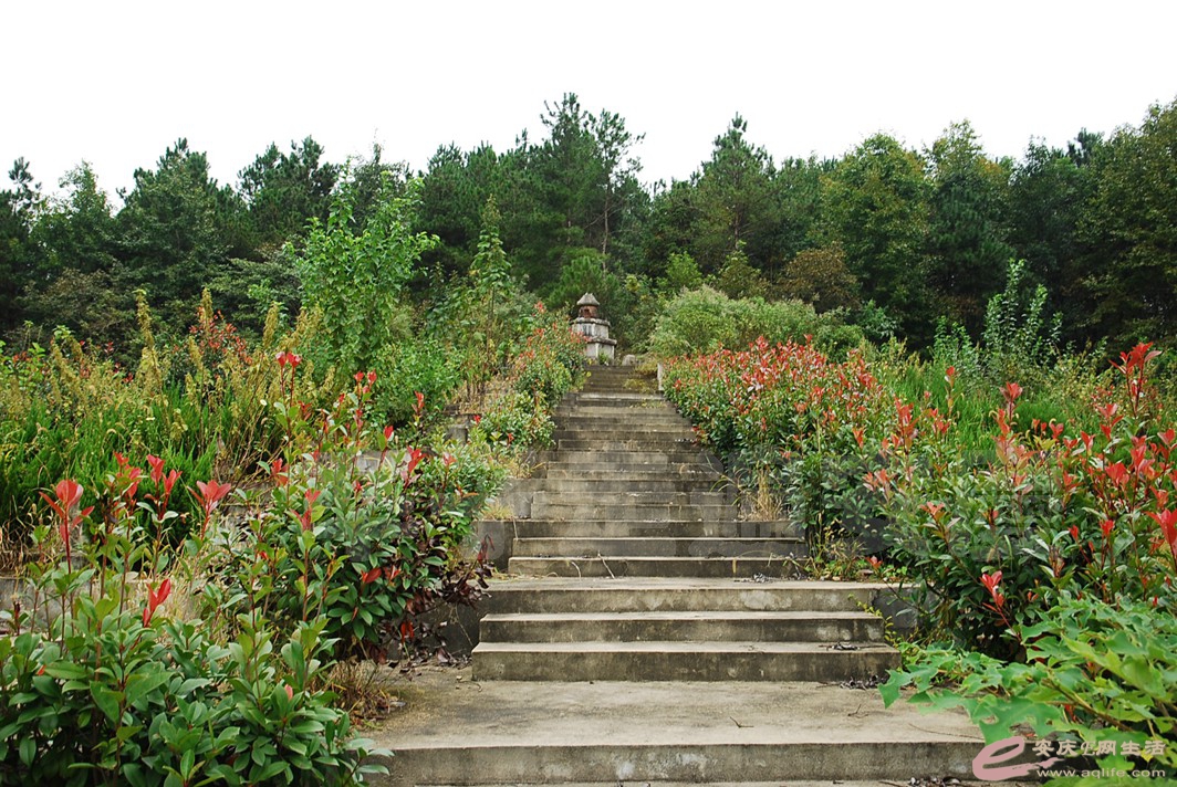 DSC_5348.jpg