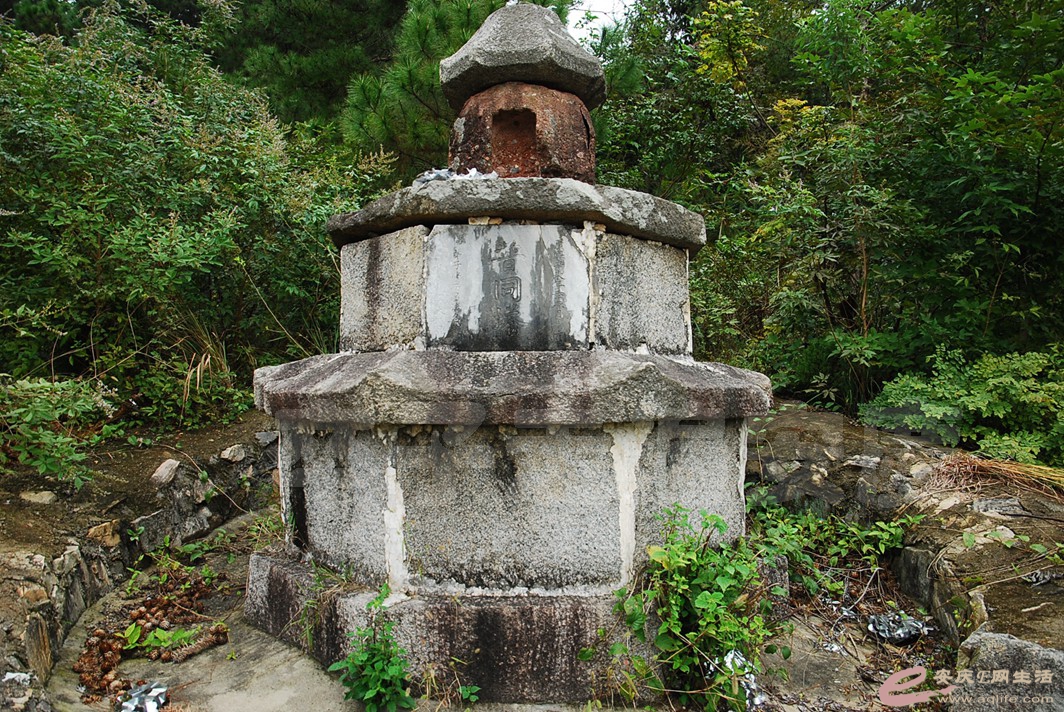 DSC_5355.jpg
