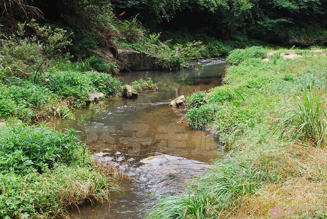 20160610 425.jpg