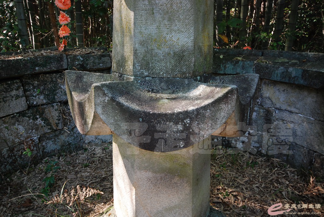 DSC_1405.jpg