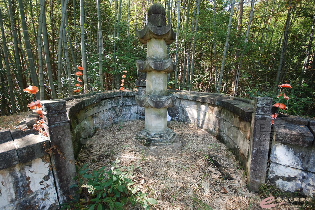 DSC_1421.jpg