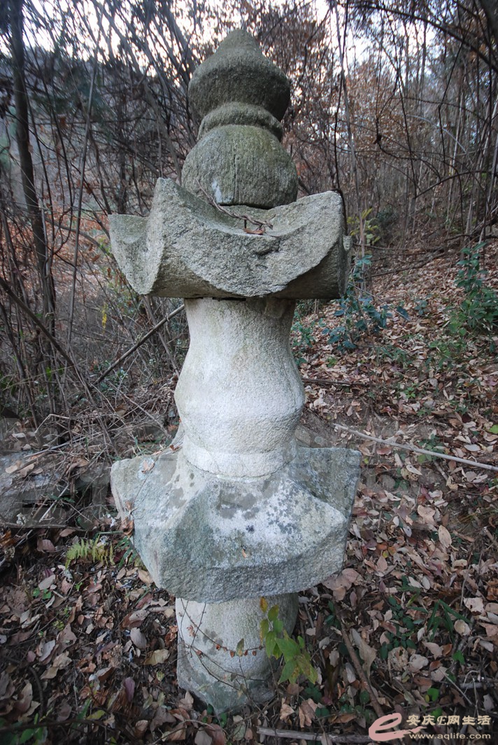 DSC_1641.jpg