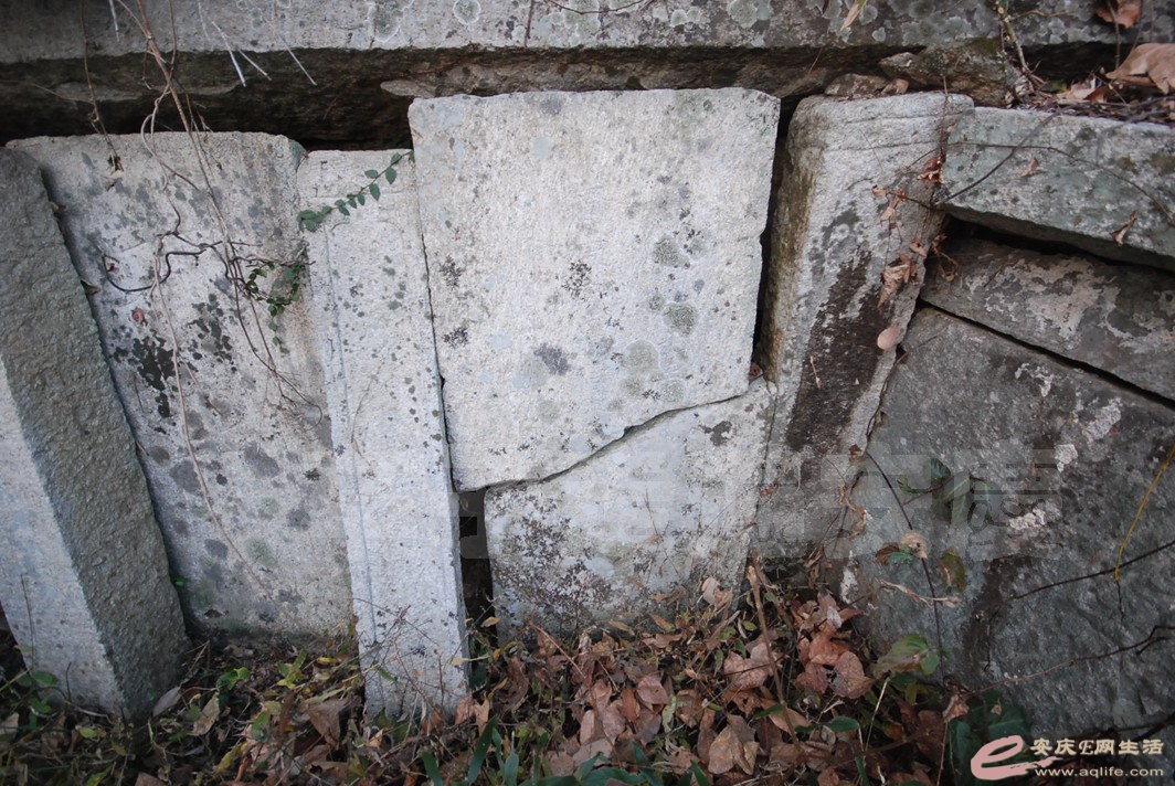 DSC_1664.jpg