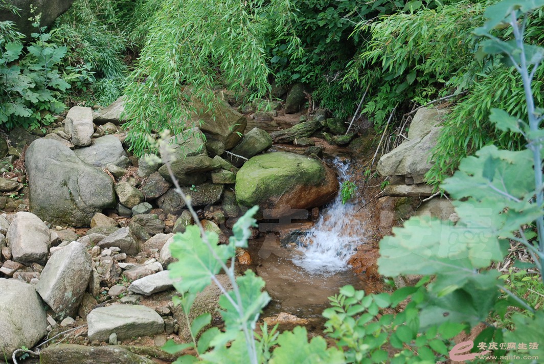DSC_4739.jpg
