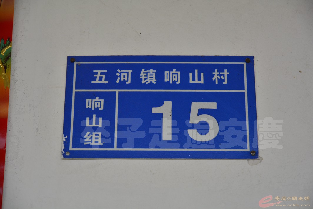 20170131 452.jpg