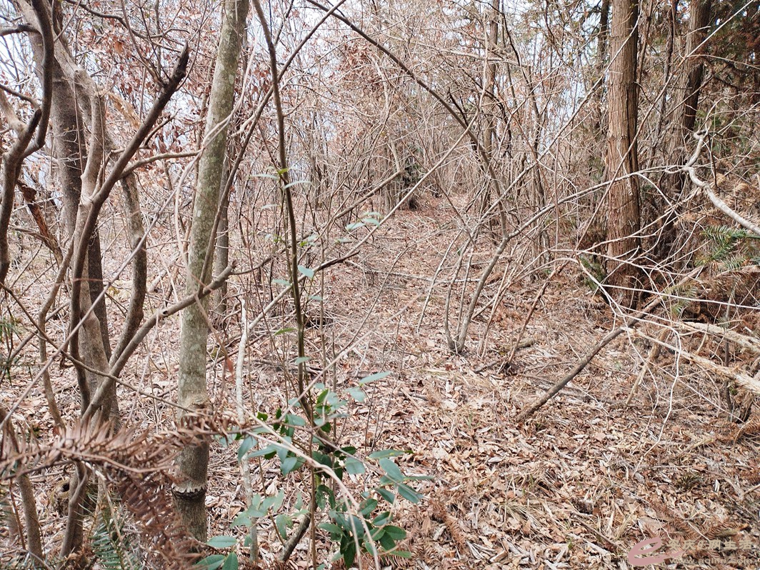 IMG_20240313_104850.jpg