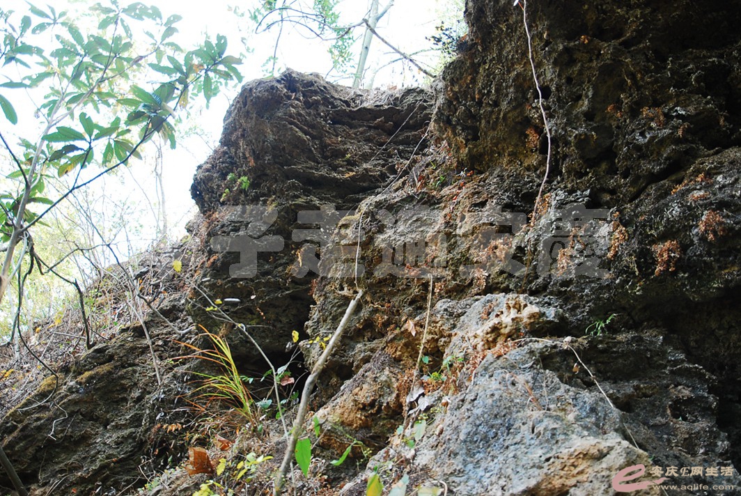 DSC_2312.jpg