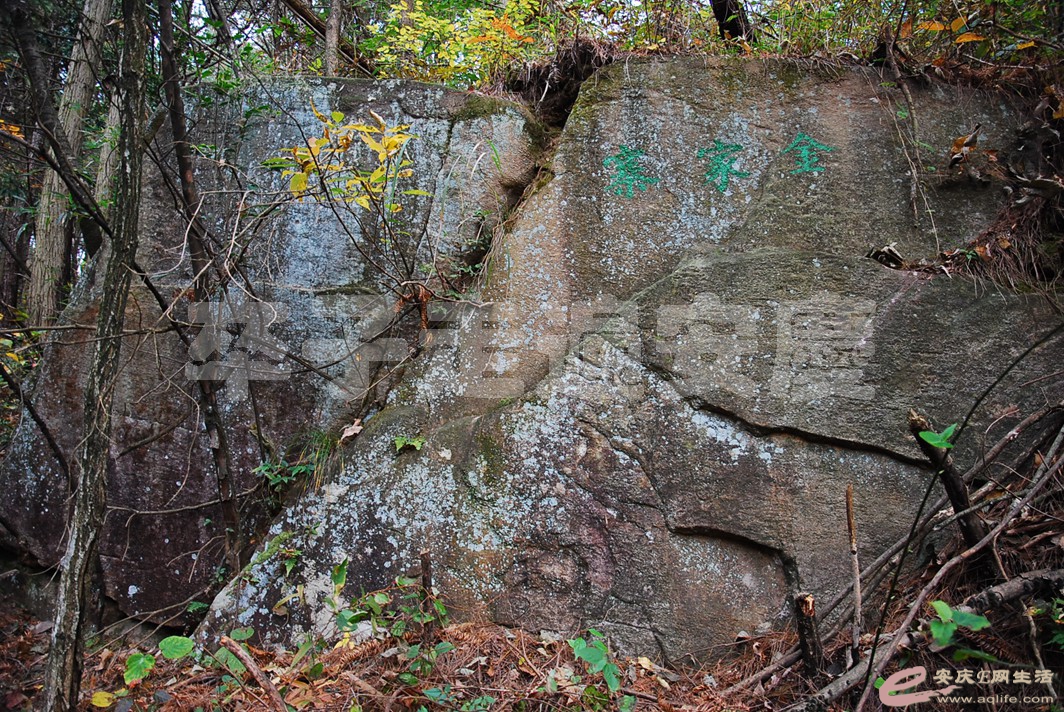 DSC_0749.jpg