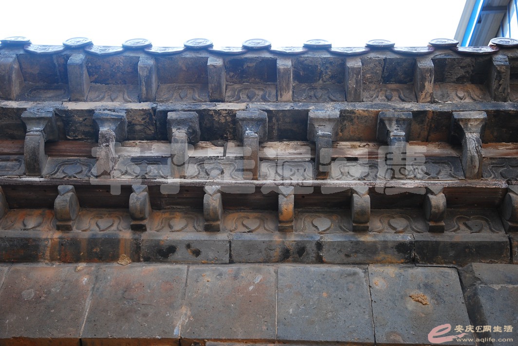 DSC_2359.jpg