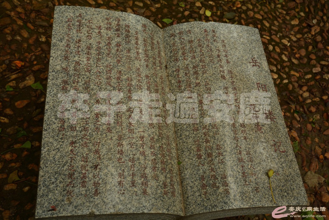 20161002 112.jpg