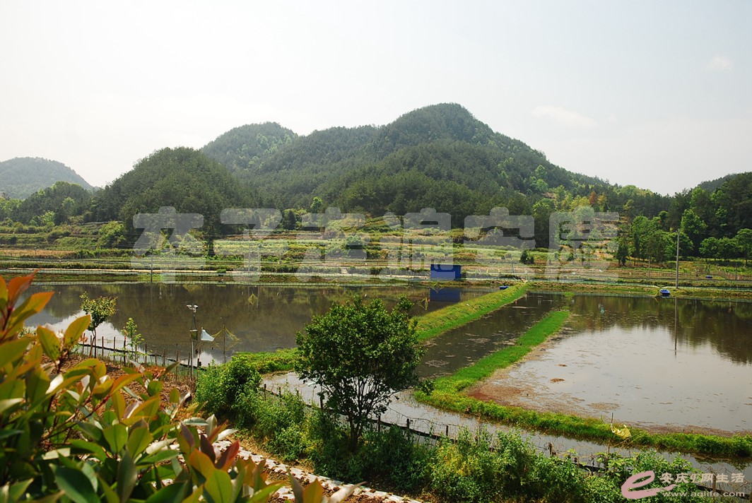 DSC_3834.jpg
