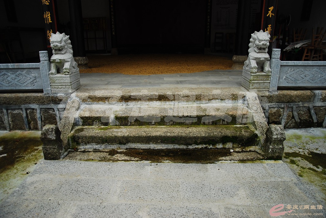 DSC_9503.jpg