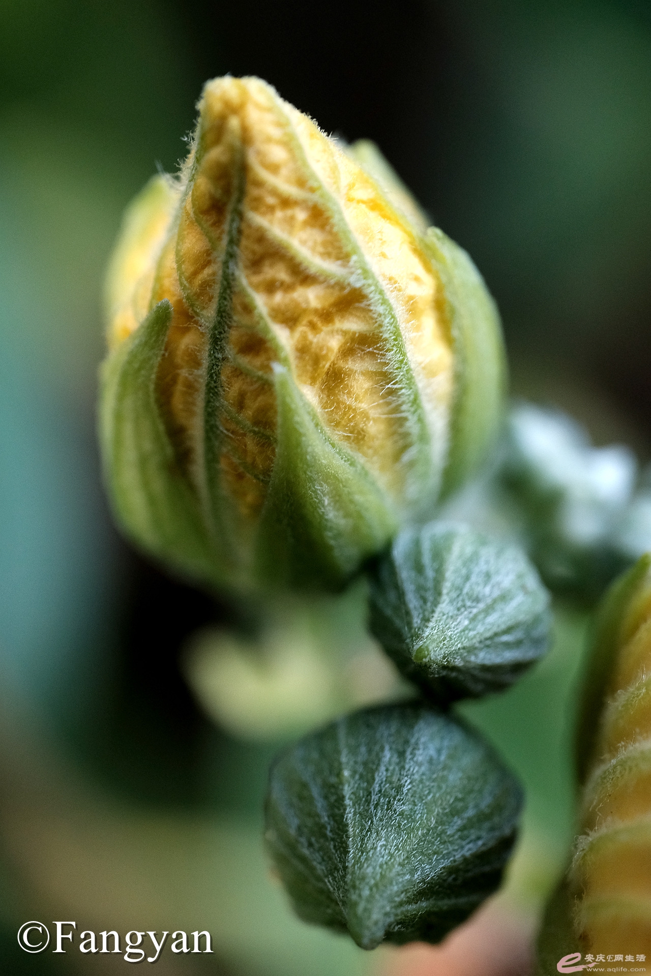 DSCF9047_1.jpg