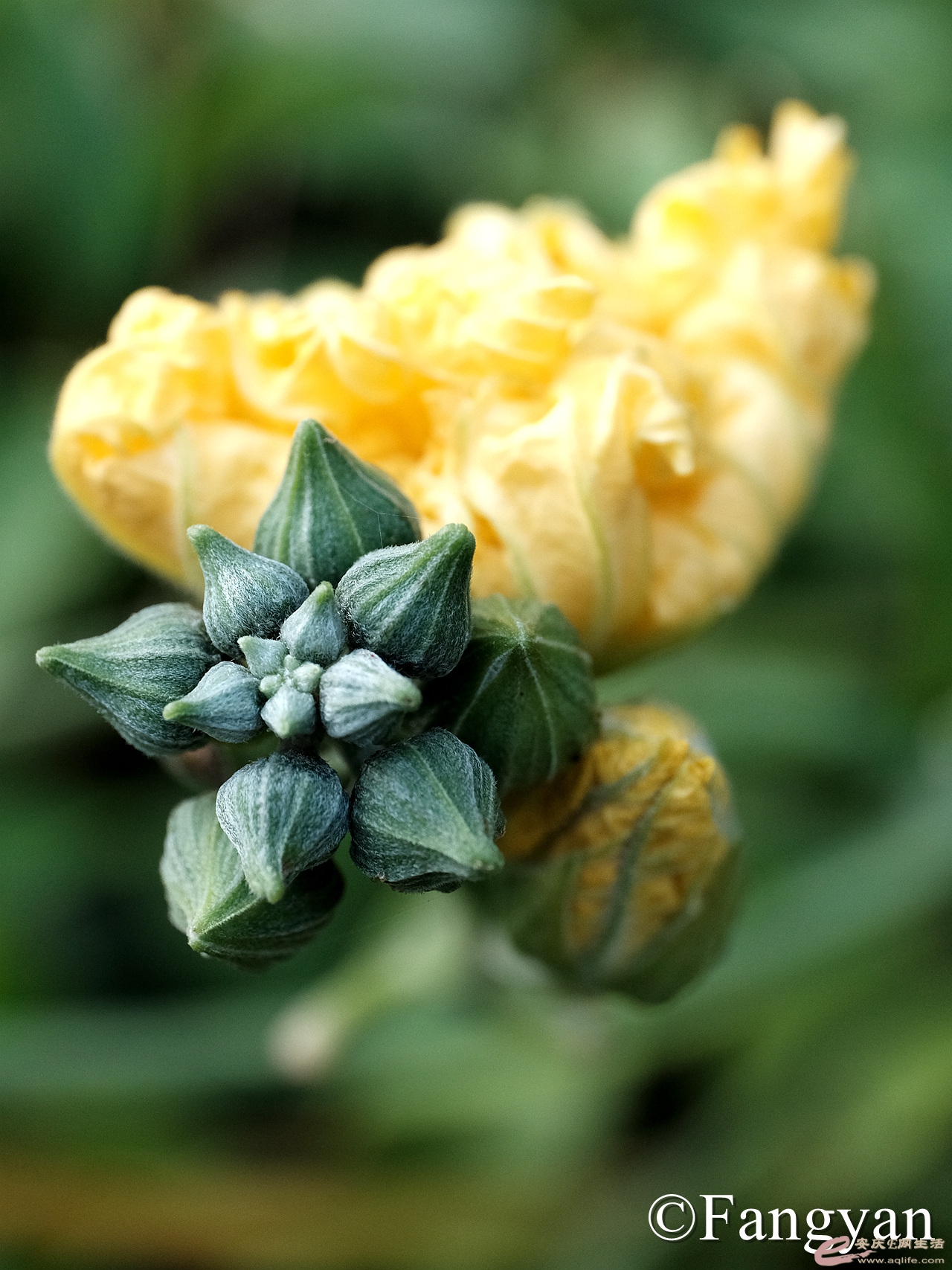 DSCF9046_1.jpg